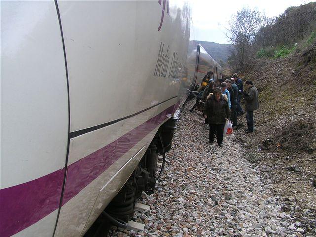 233.jpg