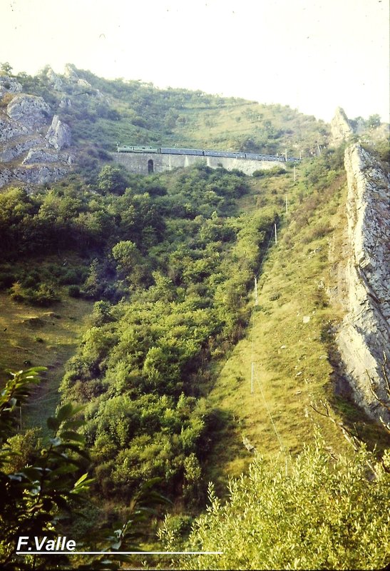 PICT0028.jpg