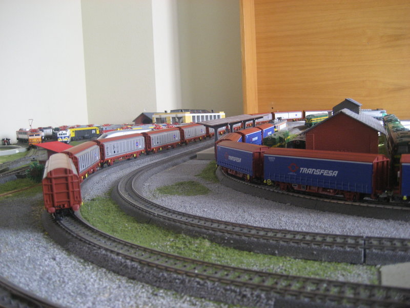 MANIOBRAS TREN 18 138.JPG