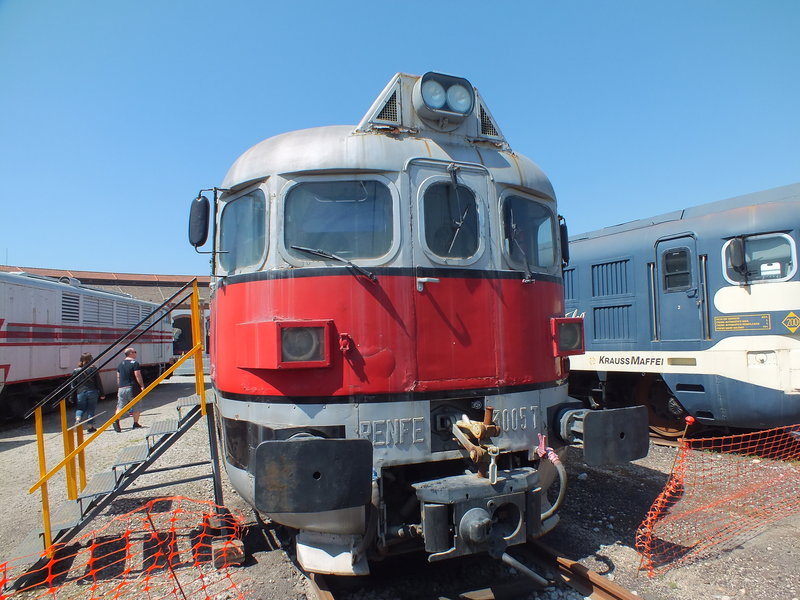DSCF2446.JPG