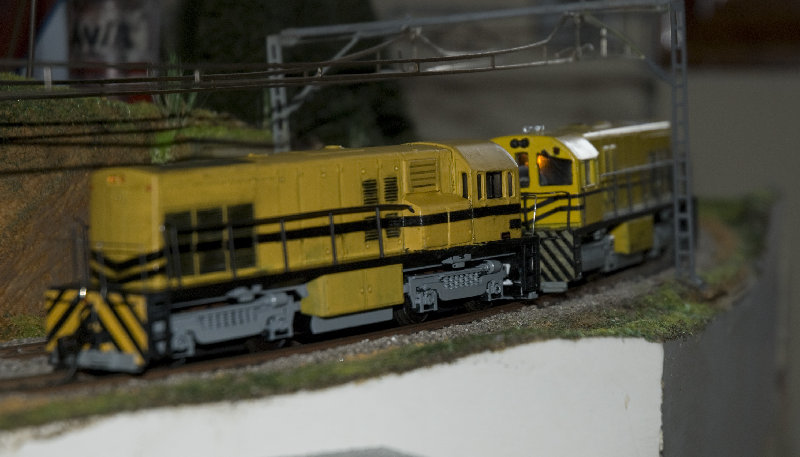 Feve 1500 010.jpg