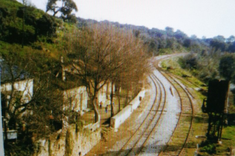 20170428_191455-1.jpg