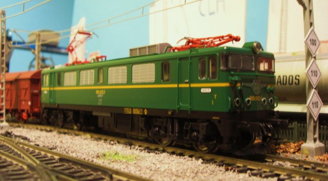 CIMG8875.JPG