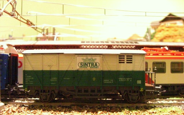 CIMG8887.JPG