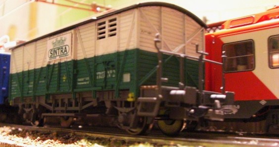 CIMG8889.JPG