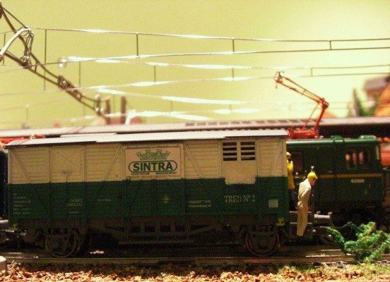 CIMG8895.JPG