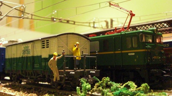 CIMG8896.JPG