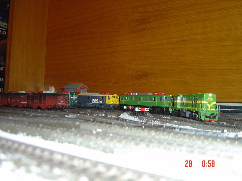 DSC03118.JPG
