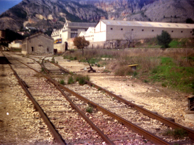 12-Alcoy.Marzo 1991 Foto de Paco Devesa.jpg