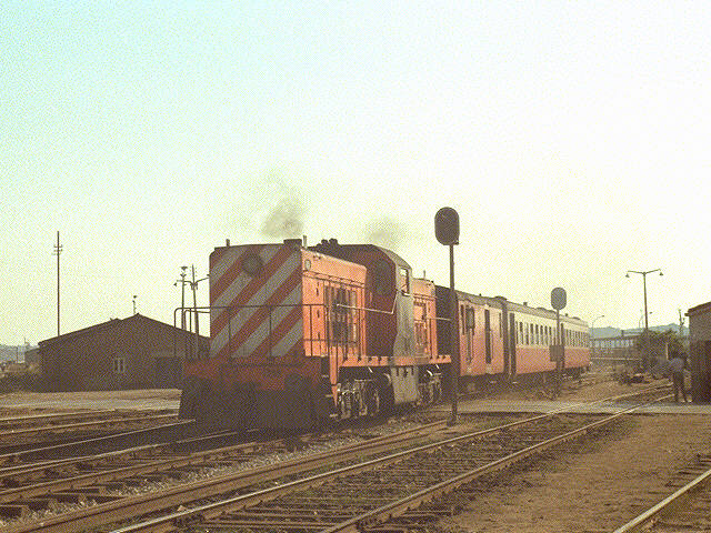 CP_1301.jpg