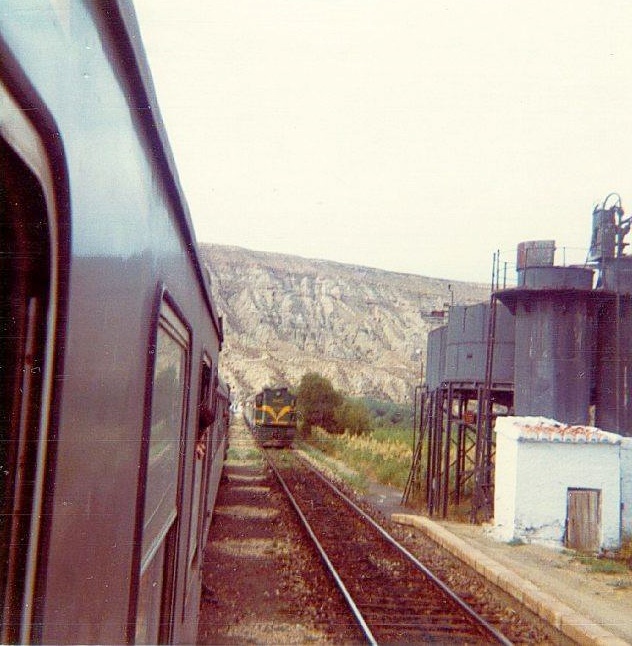 7015.jpg