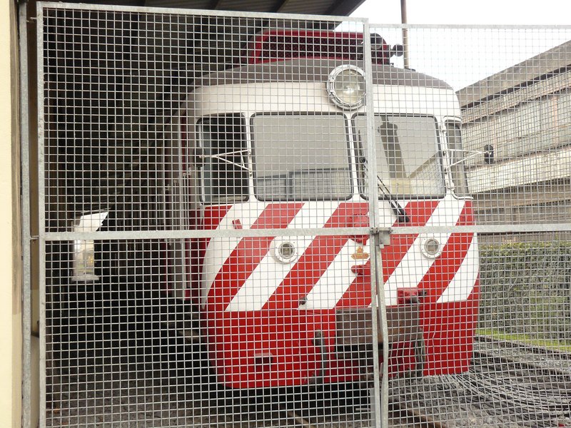P1040035.JPG