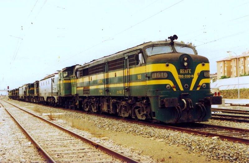 269.jpg