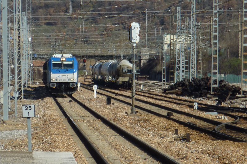 P1040573.JPG