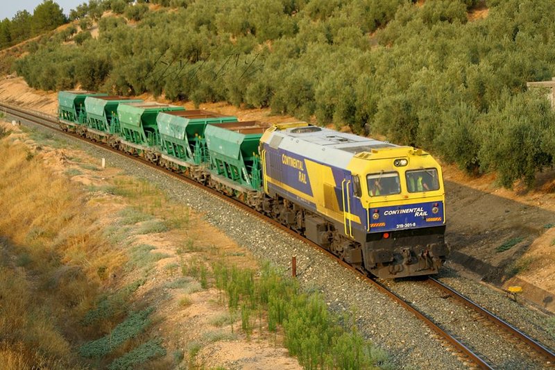 6316.jpg