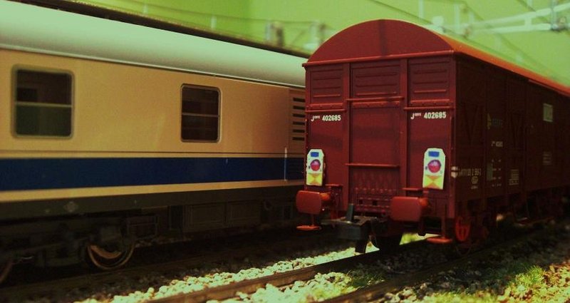 CIMG9034.JPG