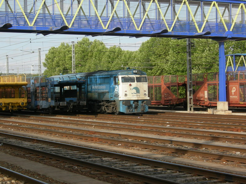 DSCN5004.JPG