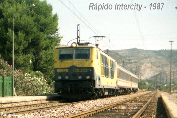 autRapIC250.jpg