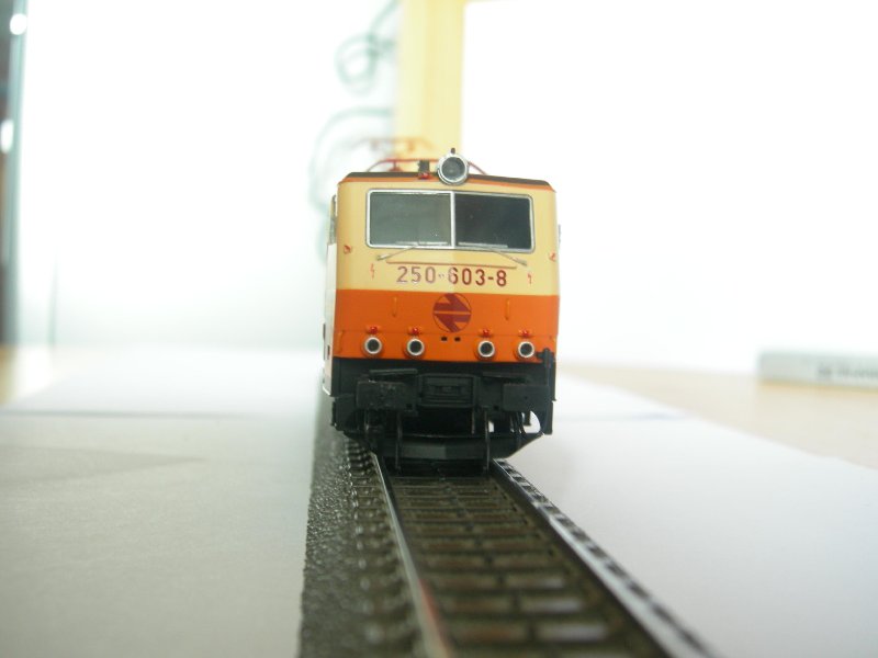 DSCN1895.JPG