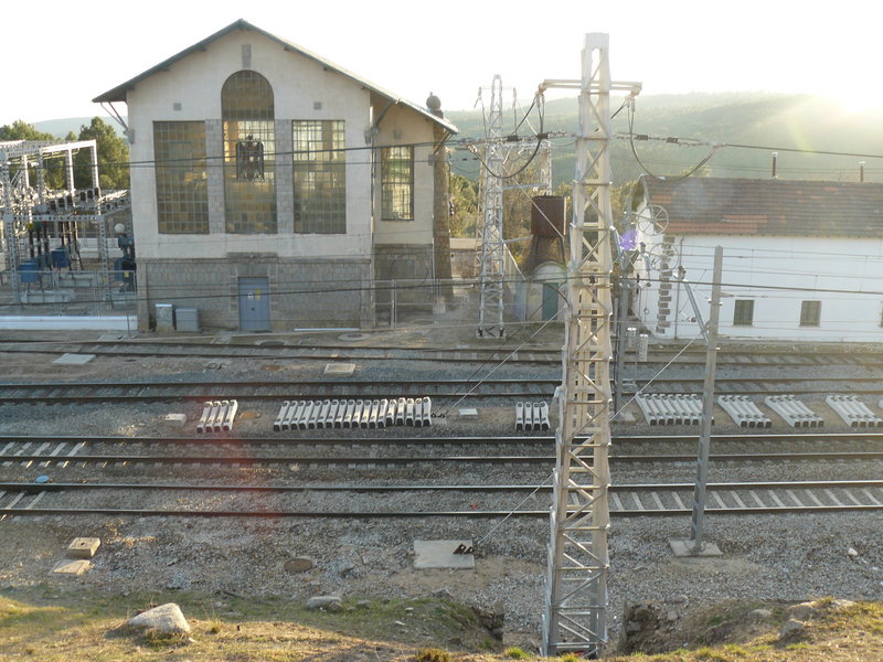 P1010021.JPG