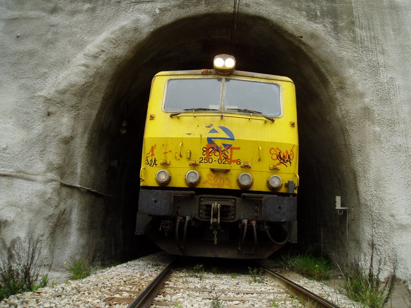 P1010149.JPG