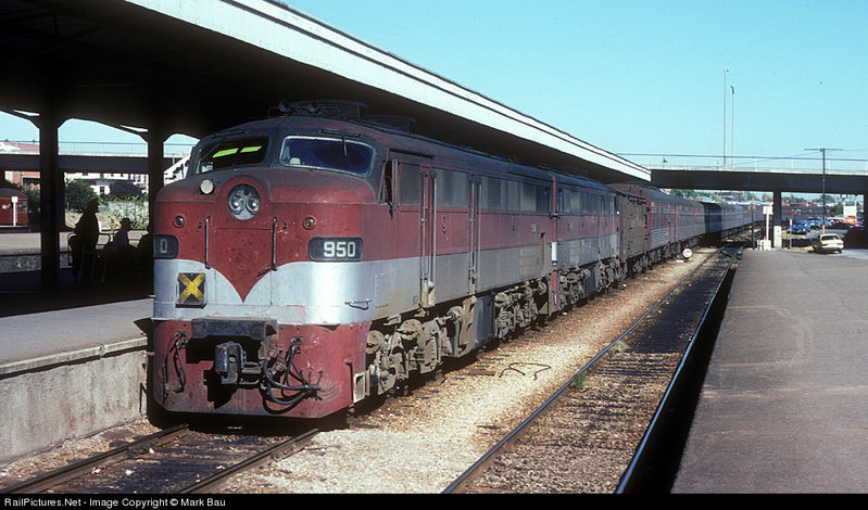 335.jpg
