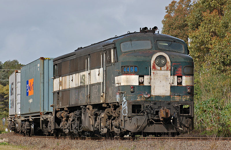 331.jpg