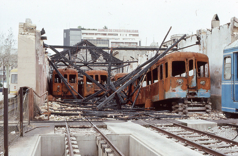 314.jpg