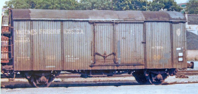 frigo1.jpg