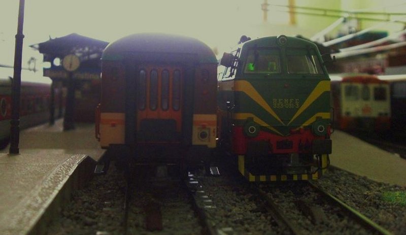 CIMG9071.JPG