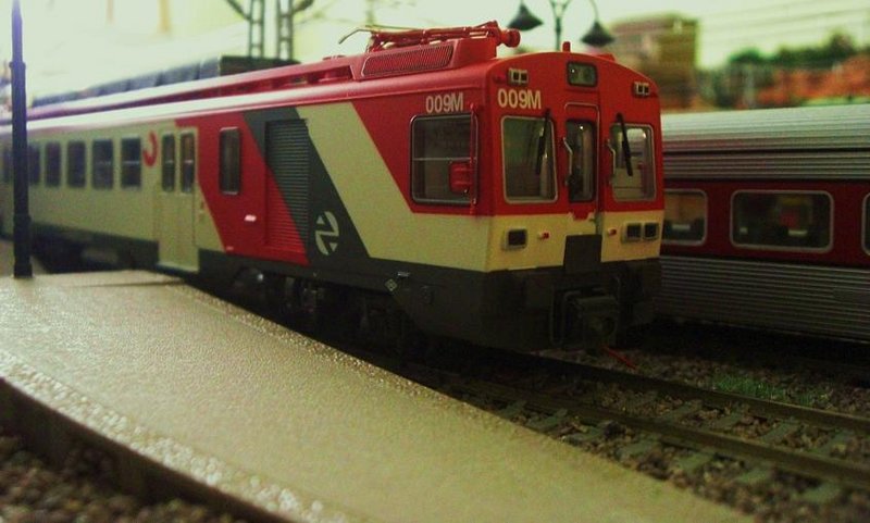 CIMG9073.JPG