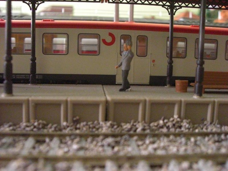 CIMG9074.JPG