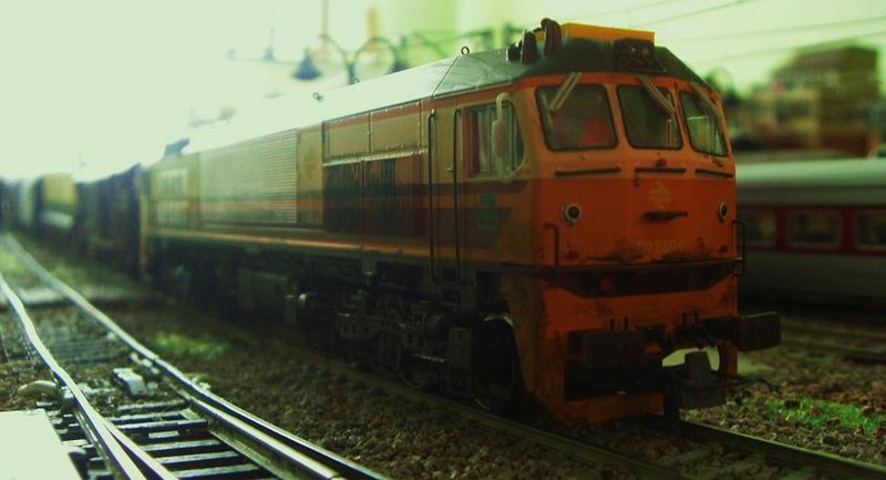 CIMG9080.JPG