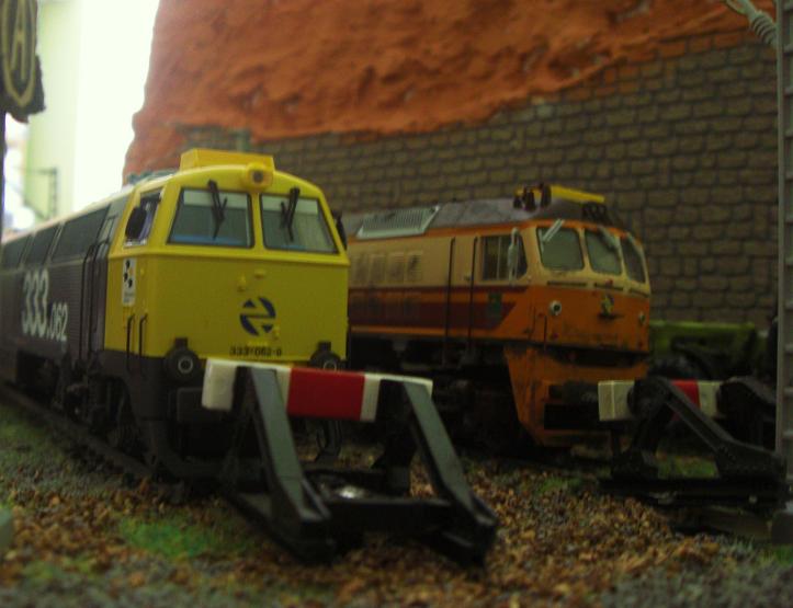 CIMG9086.JPG