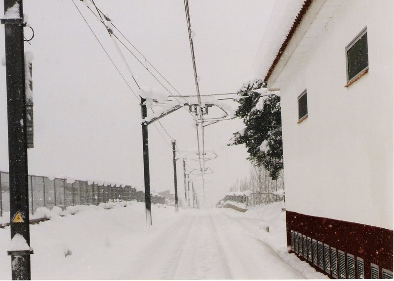 Nieve.jpg