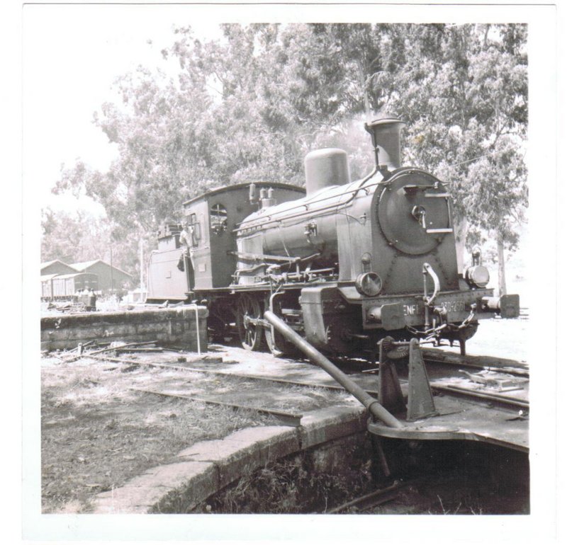 tren.jpg