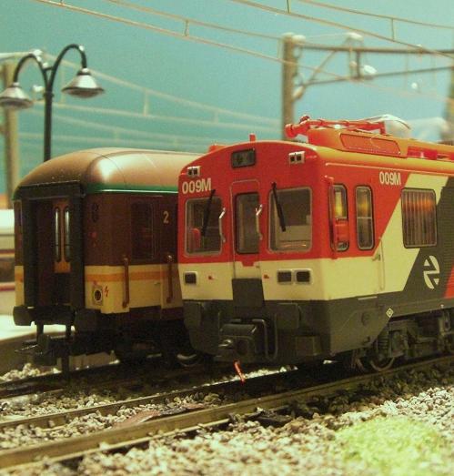 CIMG9304.JPG