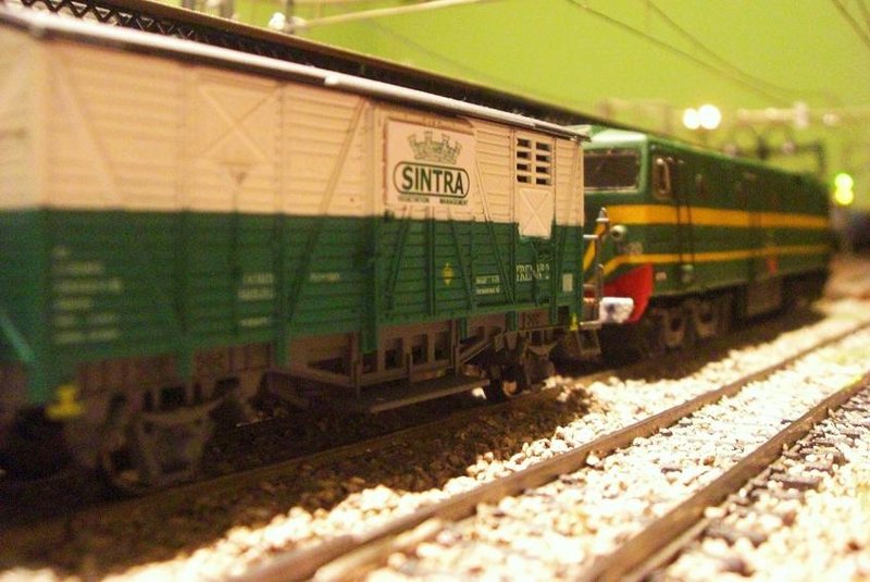 CIMG9297.JPG