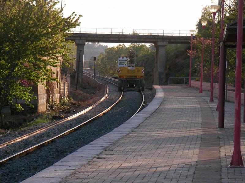 SANY0037.JPG
