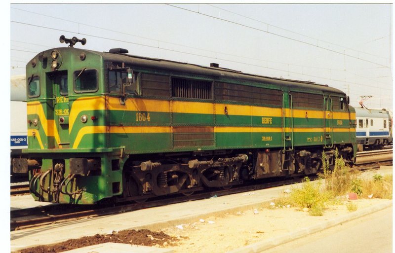 309.jpg