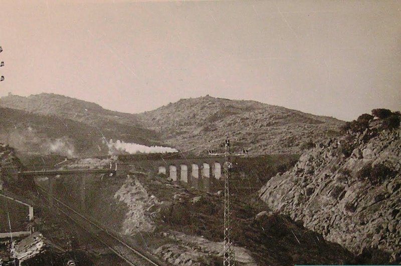 TREN RUTA DE LA PLATA.jpg