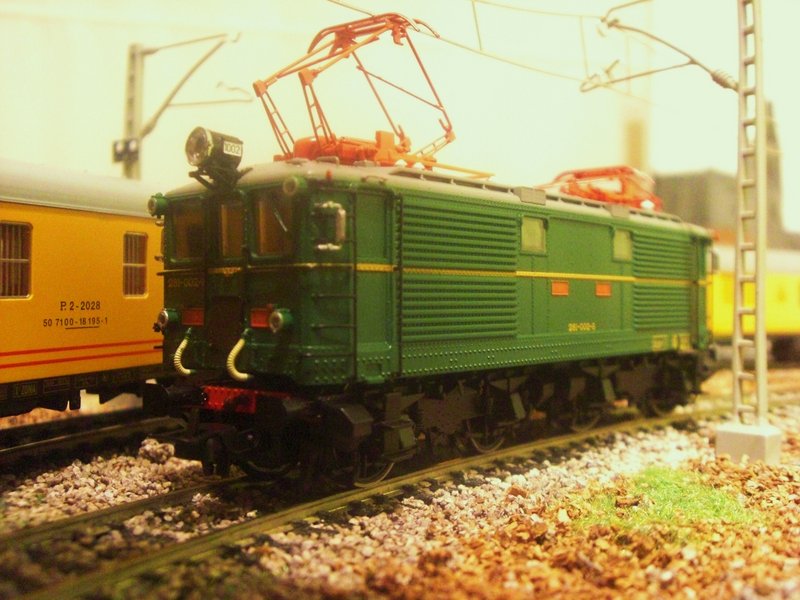 CIMG9444.JPG