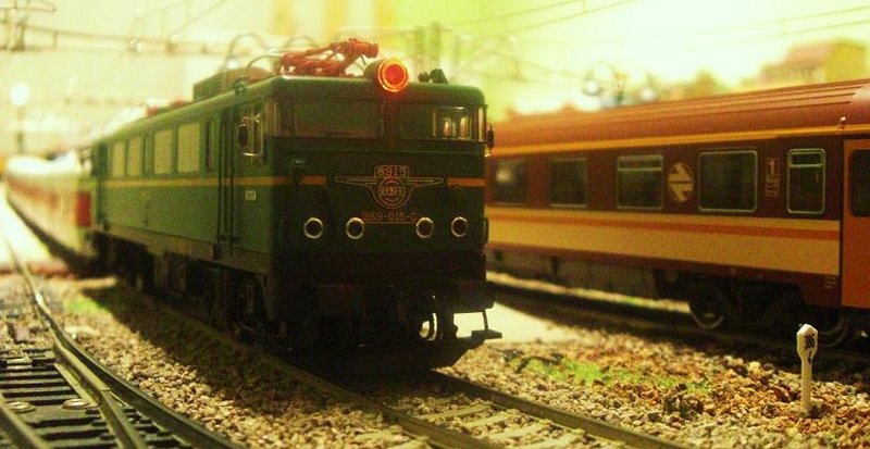 CIMG9421.JPG