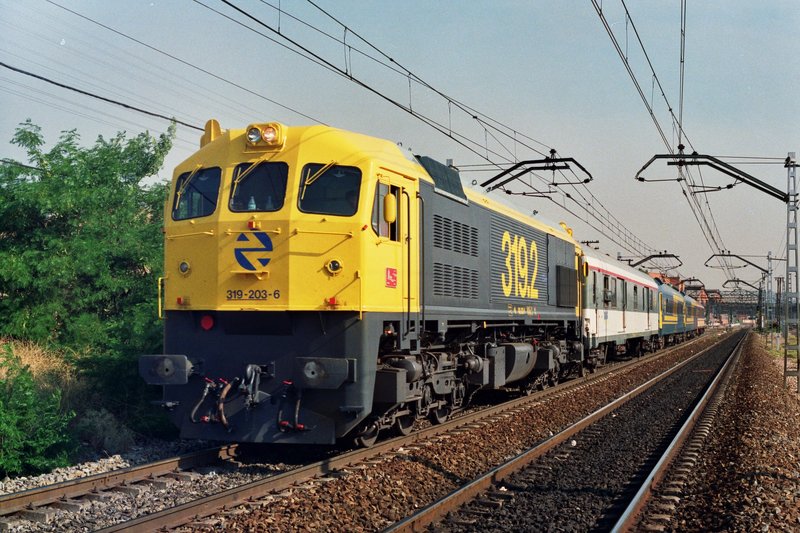 519-203.jpg