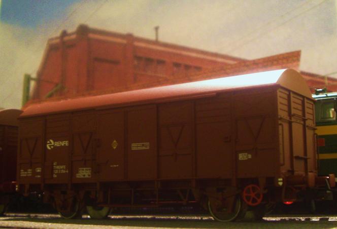 CIMG9511.JPG