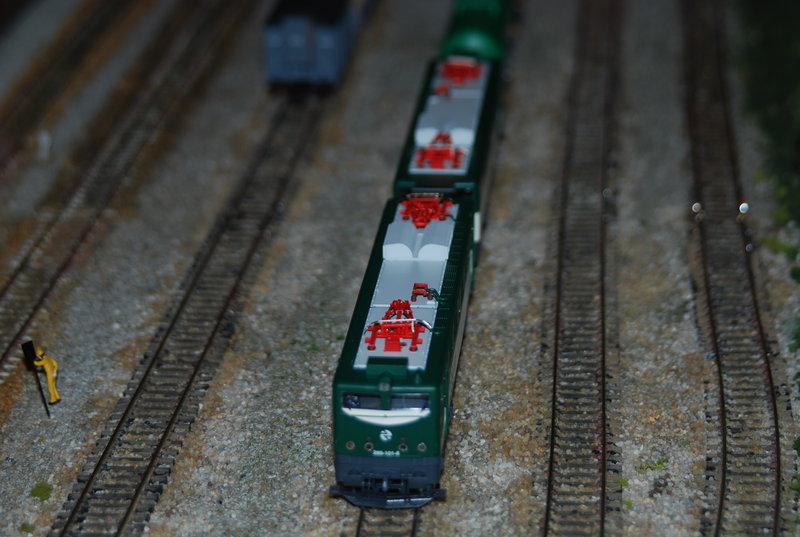DSC_0164.JPG