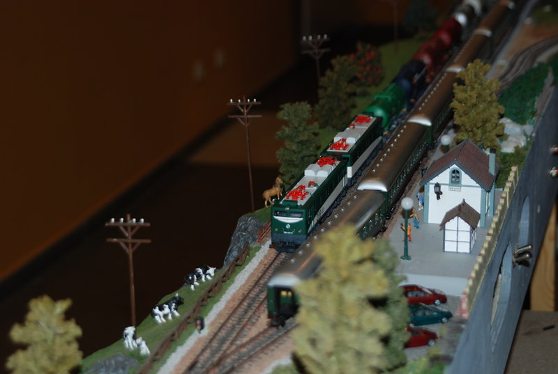DSC_0182.JPG