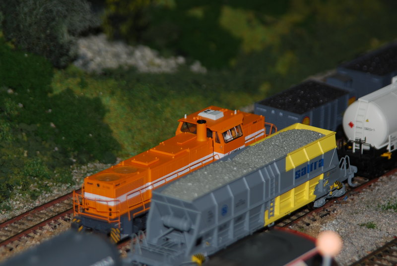 DSC_0295.JPG