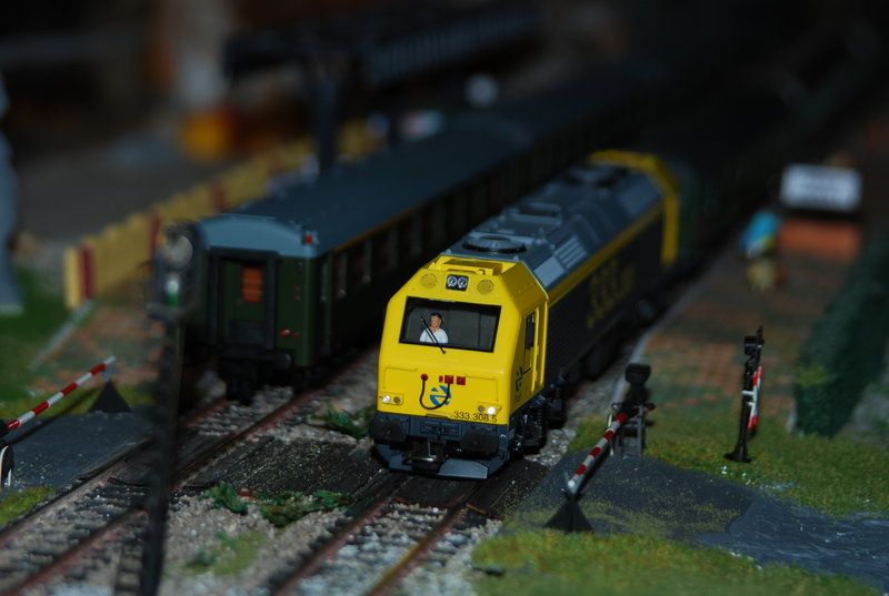 DSC_0306.JPG