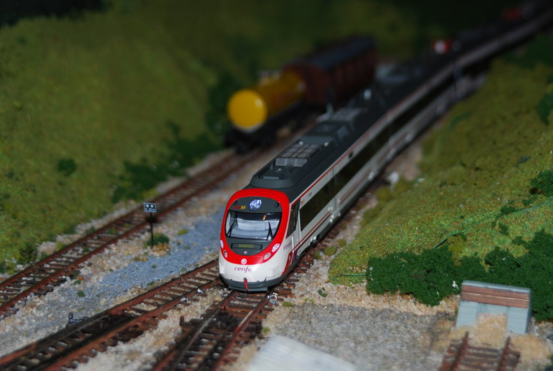 DSC_0335.JPG